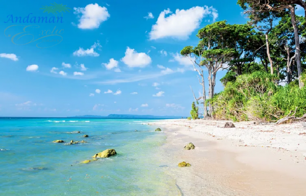 5 Days Standard Andaman Tour Package Havelock Special -SG48761