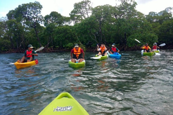 Day Kayaking in Havelock, Andaman Islands