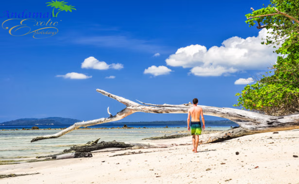 3Nights 4Days Andaman Package-3N-Port Blair